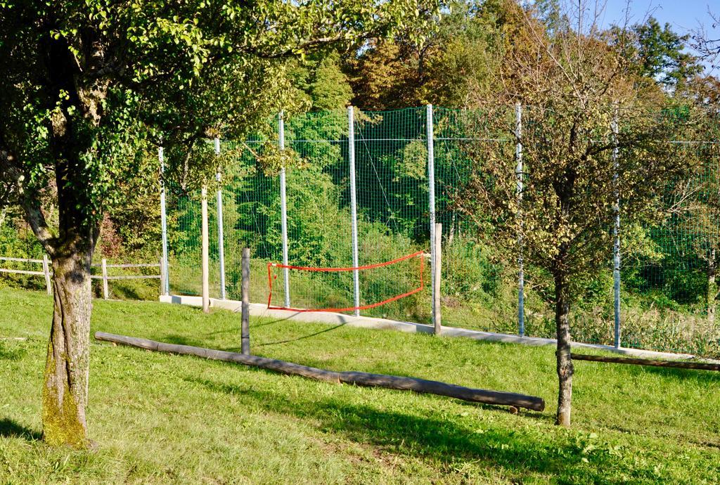 Domacija Krnc 3* Hrib pri Hinjah